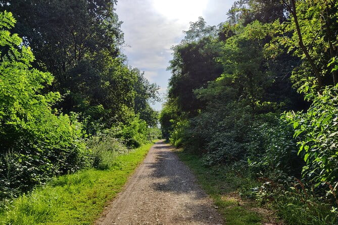 Trekking in the Wood with picnic on the turtles lake - What to Expect on the Itinerary