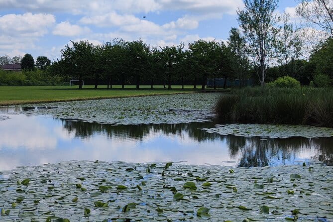 Trekking in the Wood with picnic on the turtles lake - Why This Tour Is a Winner for Nature Seekers