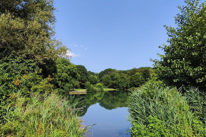 Trekking in the Wood with picnic on the turtles lake - FAQ