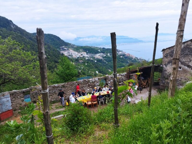 Trekking Lemon Tour - Key Points / Takeaways