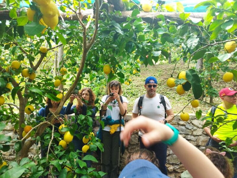 Trekking Lemon Tour - Who Would Love This Tour