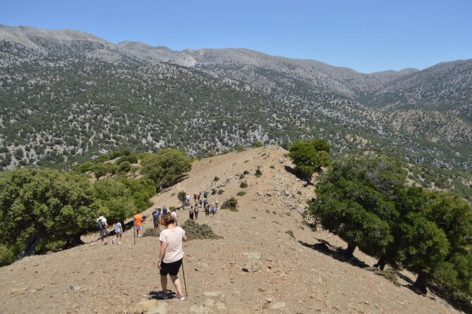 Trekking Rouvas Gorge - Authentic Experiences and Natural Beauty