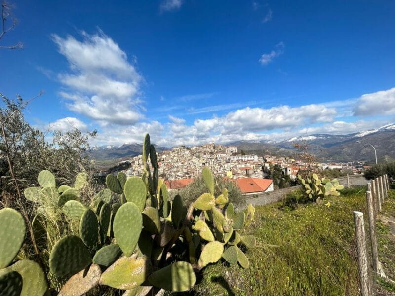 Trekking,room,tastings,dinner - Final Thoughts