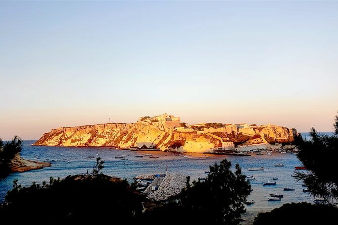 Tremiti Islands from Rodi Garganico: ferry and boat tour - Who This Tour Is Best For