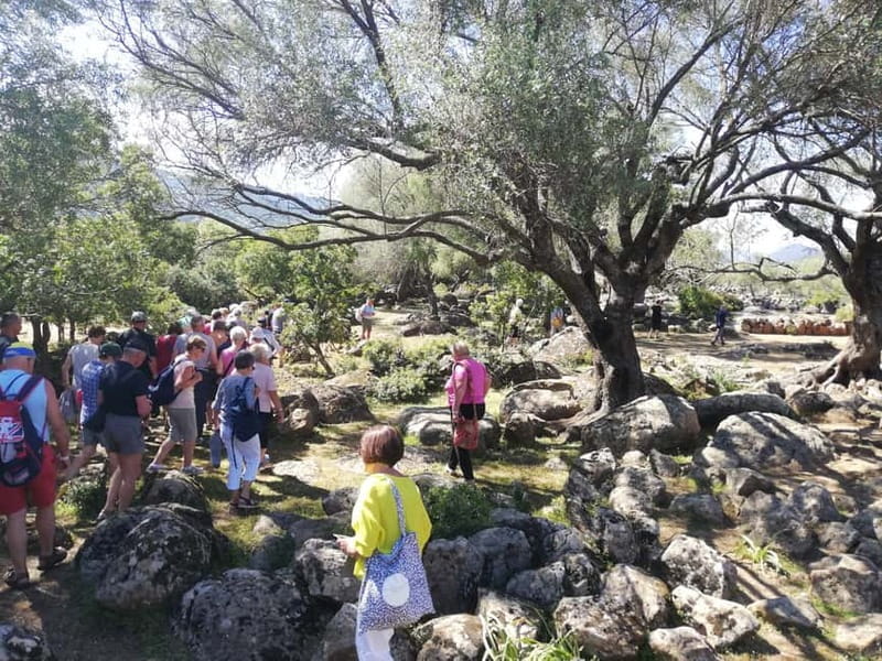 Trenino Supramonte: Guided tour of Golgo plateau - Key Points / Takeaways