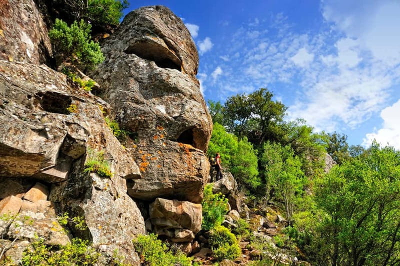 Trenino Supramonte: Guided tour of Golgo plateau - The Second Stop: Saint Peter’s Church and Olive Trees