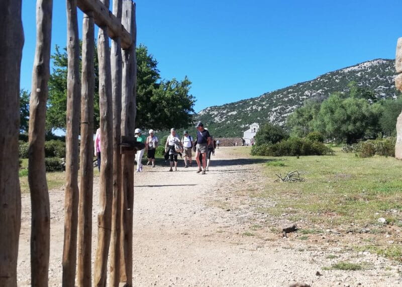 Trenino Supramonte: Guided tour of Golgo plateau - Price and Value: What You Get for Your Money