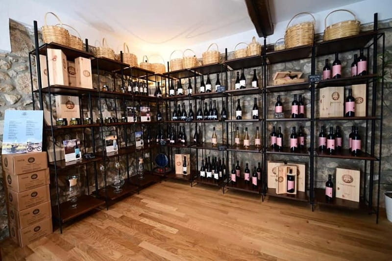 Trentinara Wine Tasting and Walking Tour - Walking Through Trentinara’s Historic Streets