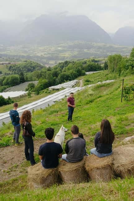 Trentino Agriconda: frutTIAMO...Explore, Learn, Taste Small Fruits - Key points / Takeaways