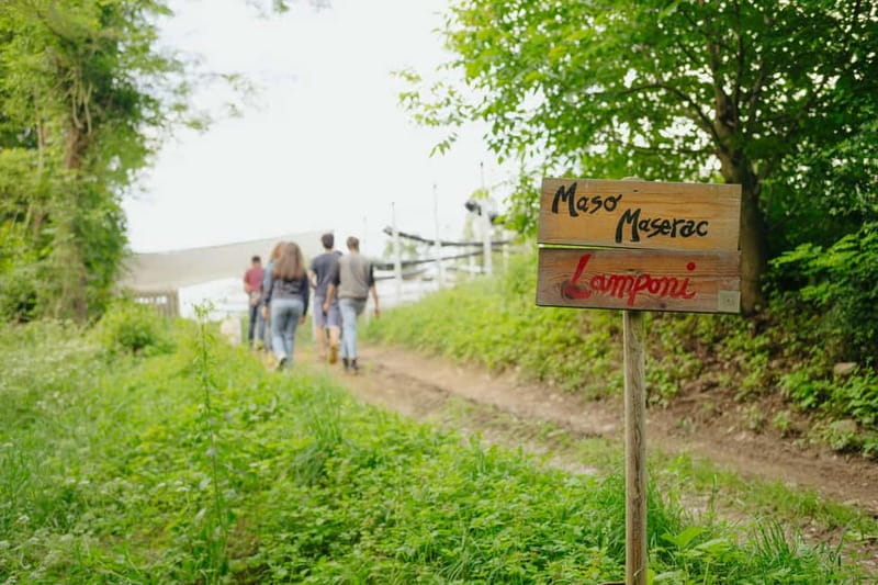 Trentino Agriconda: frutTIAMO...Explore, Learn, Taste Small Fruits - Price and Value