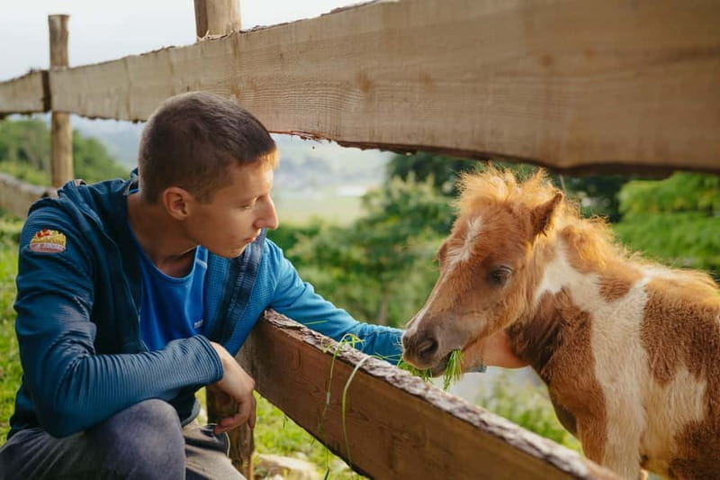 Trentino Agriconda: frutTIAMO...Explore, Learn, Taste Small Fruits - Final Thoughts
