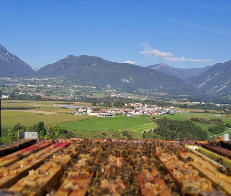 Trentino Agriconda: The adventure of the queen bee. We will explore the beehives. - Key Points / Takeaways