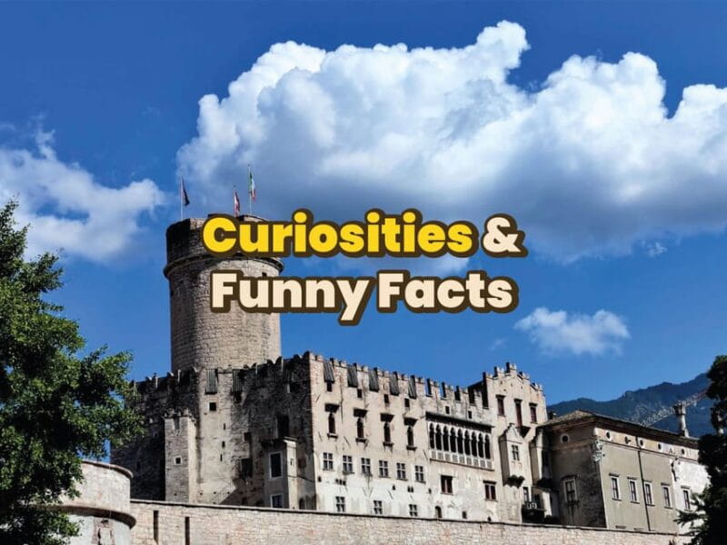 Trento: Digital guide made with a Local for your Tour - Who Will Love This?