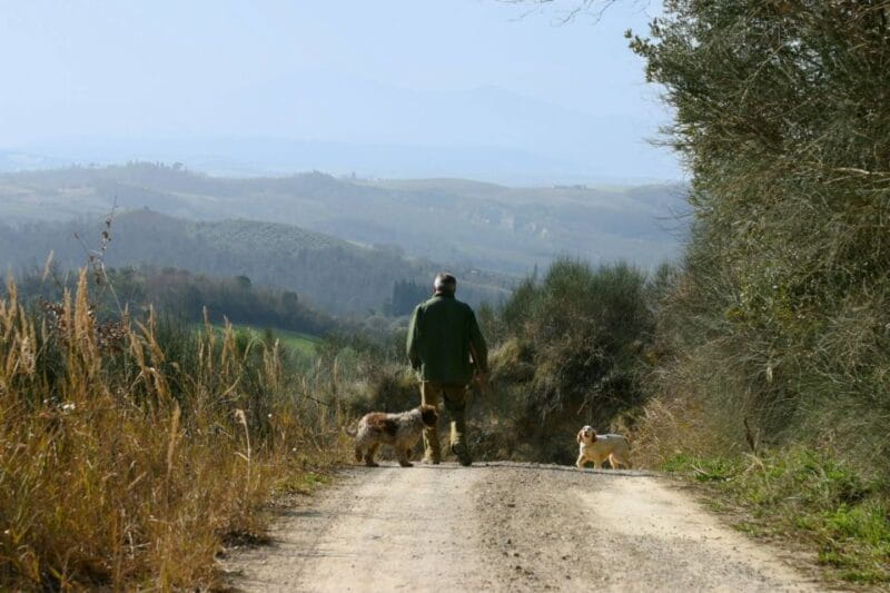 Trequanda: Tuscan Truffle Hunting Experience with Lunch - Key Points / Takeaways