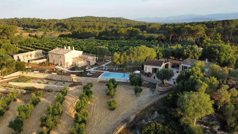 Treurer: Olive Oil Night. Gastronomic experience - Key Points / Takeaways