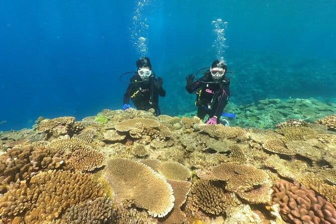 Trial Boat Dive 2 DIves at Nakijin, Motobu, Okinawa - Participant Feedback and Highlights