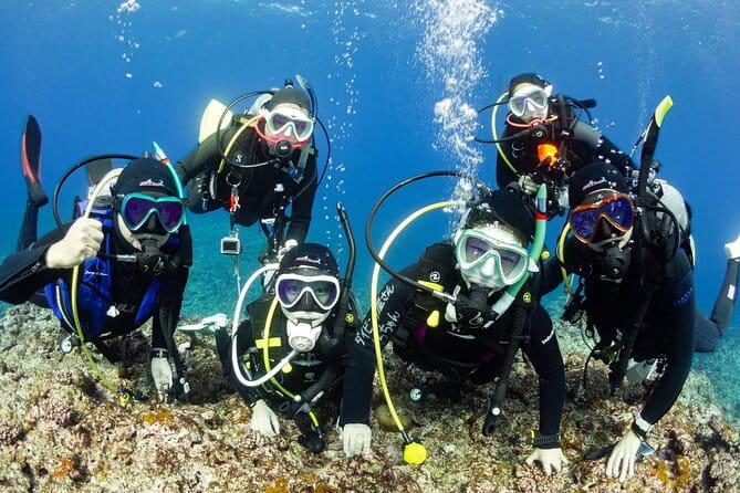 Trial Diving Tour That Even Inexperienced People Can Enjoy Safely - Booking Information