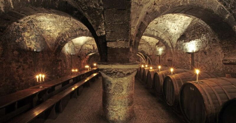Trier: Discovery tour - Germany's oldest wine cellar - Exploring the Rich Layers of Trier’s Roman Wine Heritage