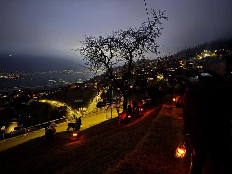 Triesenberg: Private hike with our llamas - The Experience: What to Expect from Start to Finish