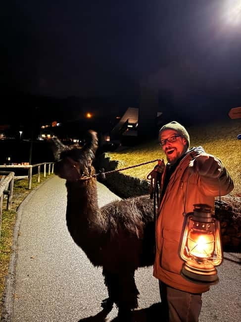 Triesenberg: Walking Tour with Llamas and Cheese Raclette - Final Thoughts: Who Should Try It?