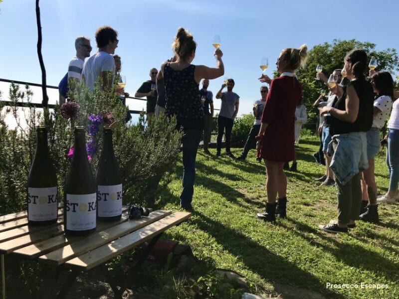 Trieste: 2.5-Hour Prosecco Origins Tour and Tastings - Key points / Takeaways