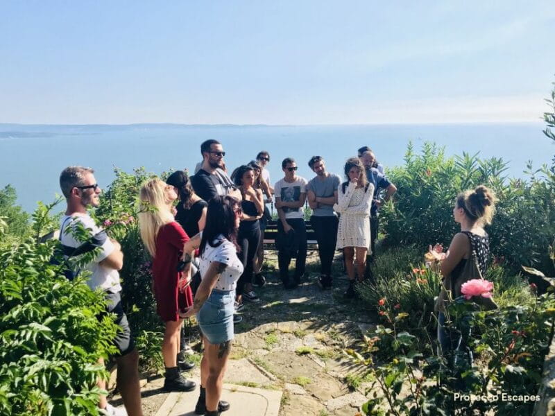 Trieste: 2.5-Hour Prosecco Origins Tour and Tastings - The Itinerary: What You Can Expect