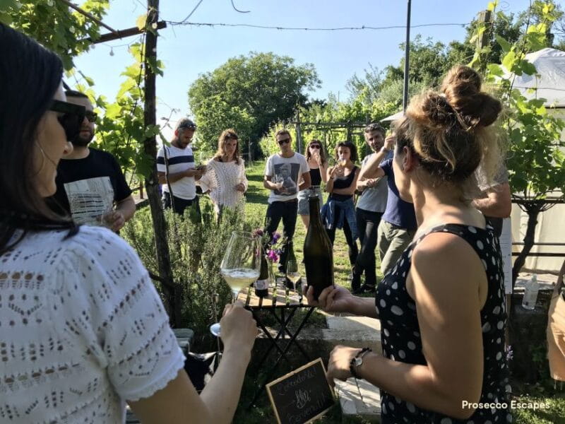 Trieste: 2.5-Hour Prosecco Origins Tour and Tastings - Practical Tips for Participants