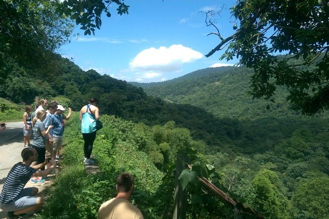 Trinidad Nature and Asa Wright Center Full-Day Tour From Port of Spain - Highlights and Activities