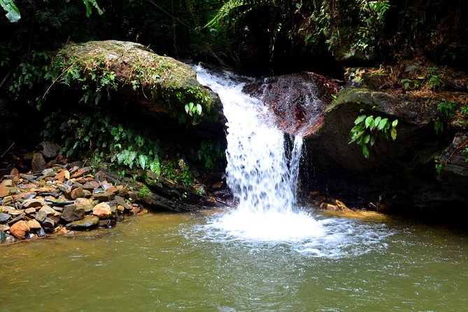 Trinidad Nature and Asa Wright Center Full-Day Tour From Port of Spain - Booking and Reservation