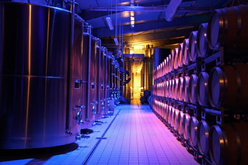 Trio Chocolaté - Tour en français - Champagne Passy-Grigny - Unlocking Champagne and Chocolate: A Review of the Trio Chocolaté Tour in Passy-Grigny