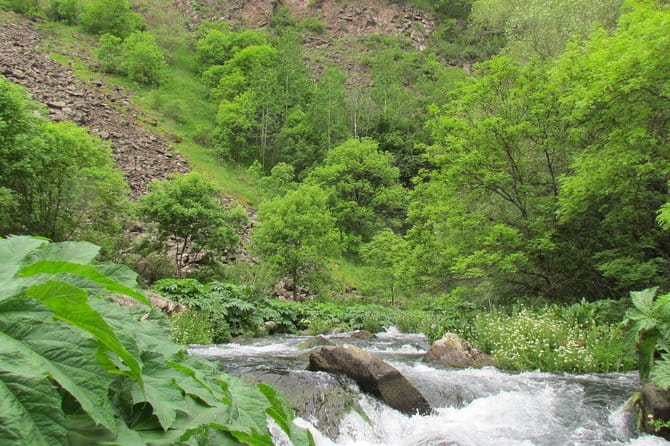 Trip to The Diamond Bridge and Dashbashi Canyon - Price and Value