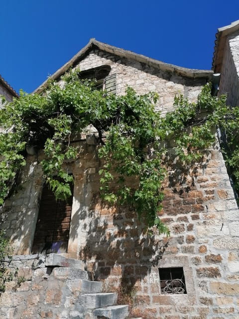 Trogir; Private walking tour of higlights of Trogir - Practical Details and Tour Value