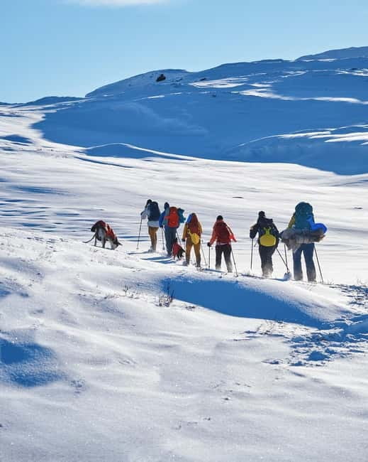 Trolltunga Day Hike - Key Points / Takeaways