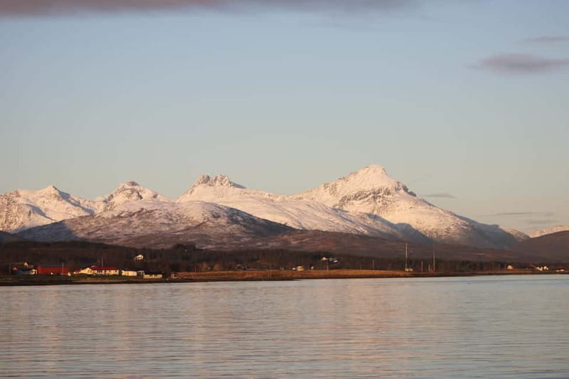 Tromsø: 2-Hour Island Tour Cruise with Snacks and Drinks - Price and Practical Considerations