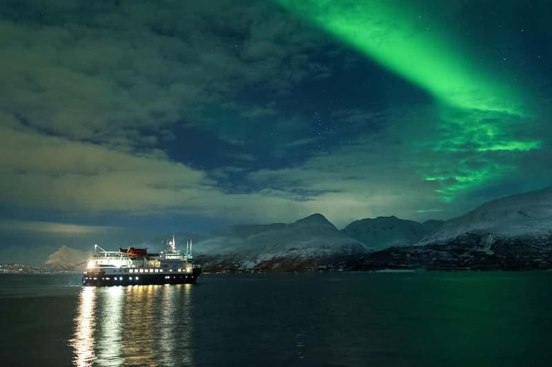 Tromsø: 24hr Northern Lights & Whale Watching Cruise - Key points / Takeaways