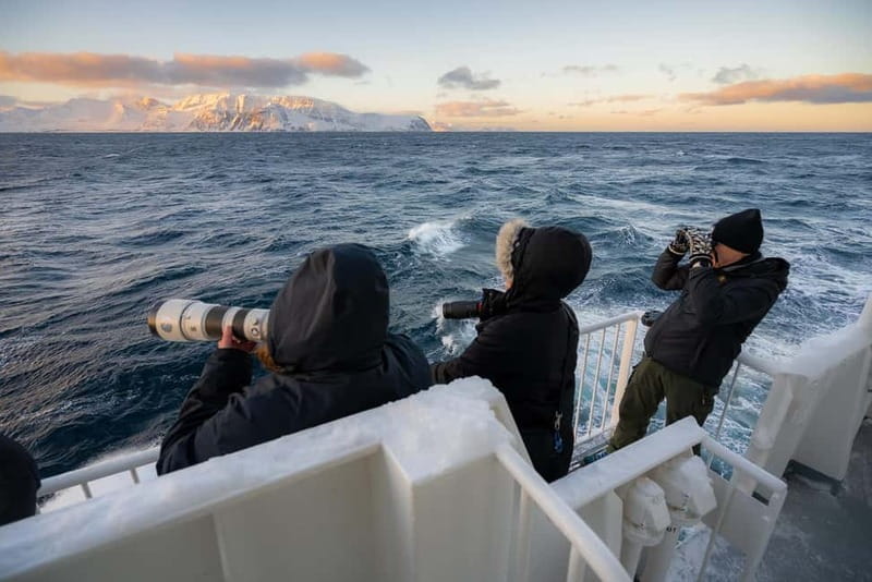 Tromsø: 24hr Northern Lights & Whale Watching Cruise - Who Will Love This Cruise?