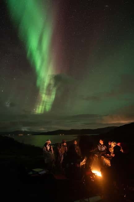 Tromsø: Adult Only Aurora hunt with Citizen Science - Logistics, Pricing, and Who It’s For