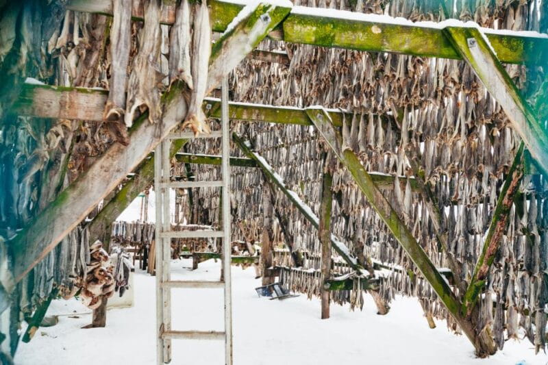 Tromsø: Arctic Fjord Cruise With Stop On Land At Fish Racks - Key points / Takeaways