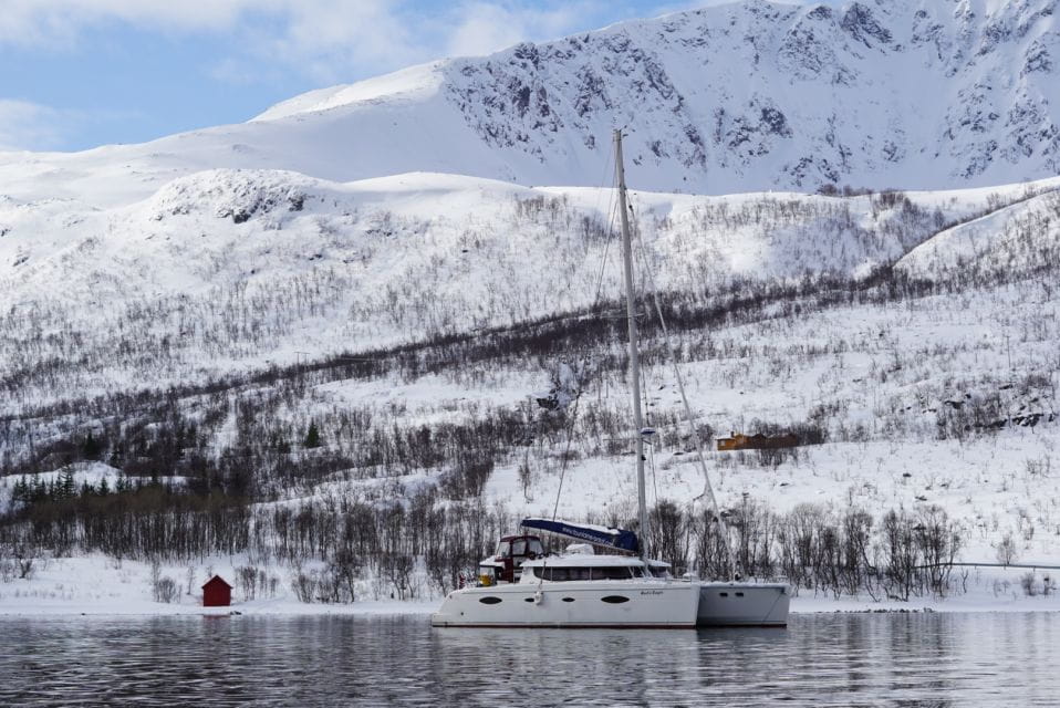 Tromsø: Arctic Fjord Sightseeing Cruise in Luxury Catamaran - Captivating Natural Beauty