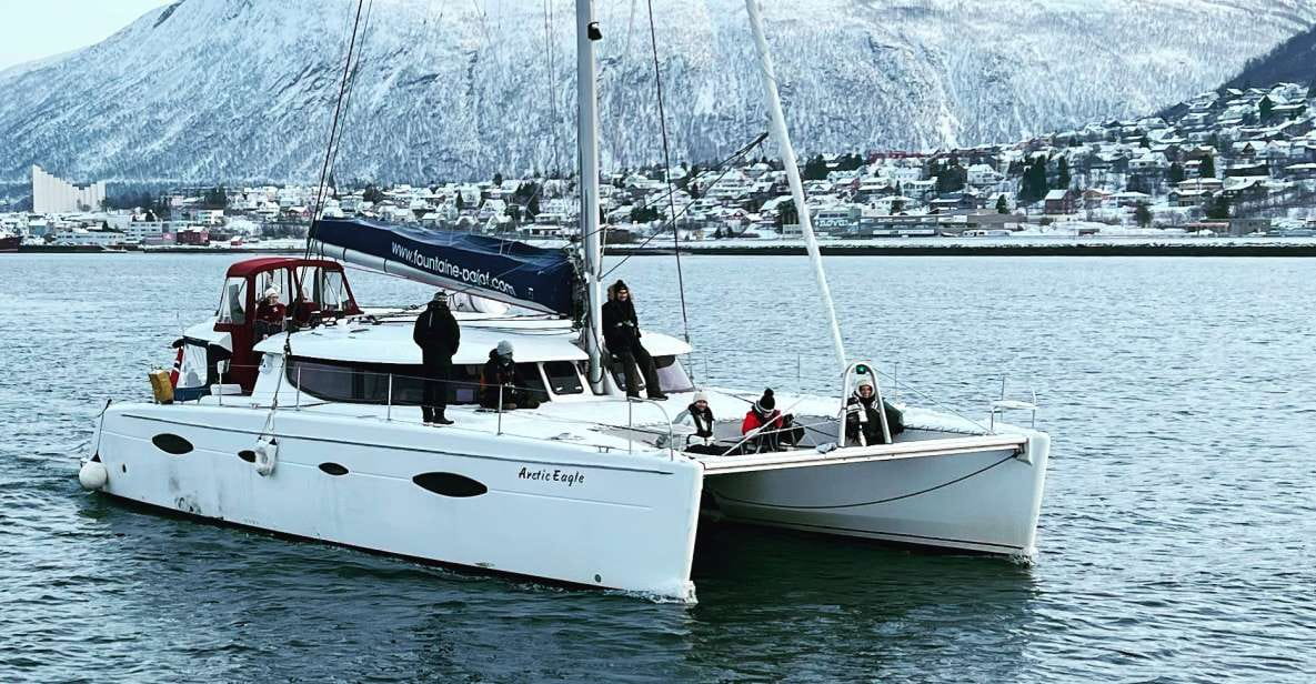 Tromsø: Arctic Fjord Sightseeing Cruise in Luxury Catamaran - Meeting Location and Directions