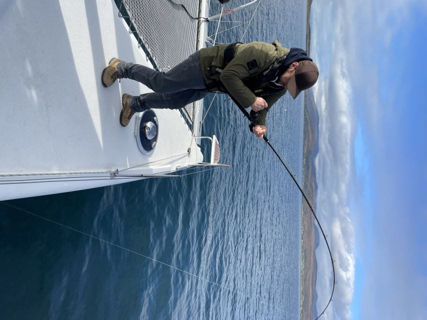 Tromsø: Arctic Fjord Sightseeing Cruise in Luxury Catamaran - Frequently Asked Questions