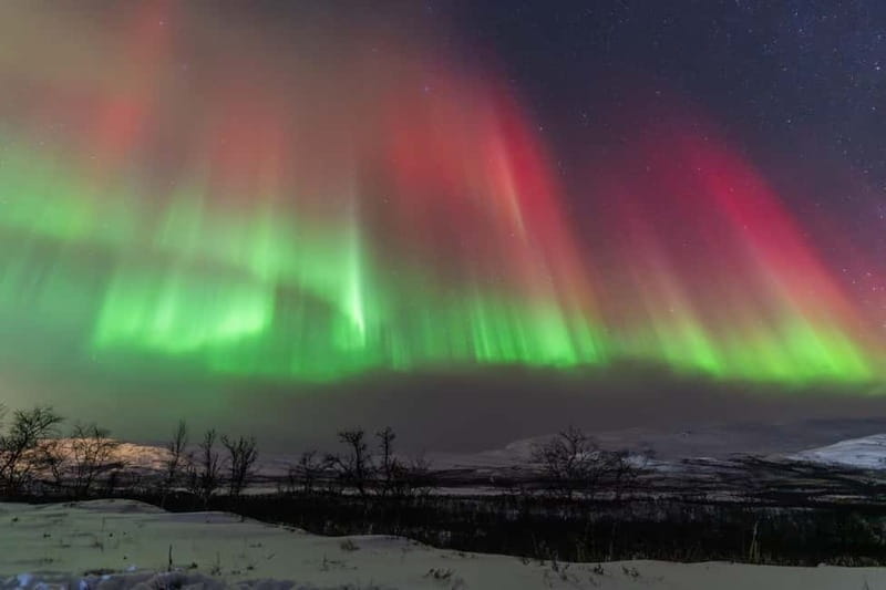 Tromsø: Aurora Quest Luxury Car Experience 7-Hour Tour - Key points / Takeaways