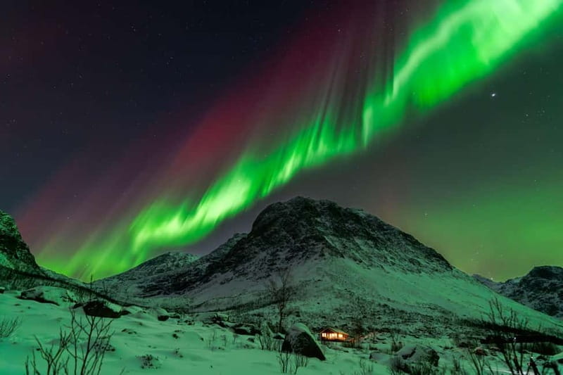 Tromsø: Aurora Quest Luxury Car Experience 7-Hour Tour - The Hidden Value of This Tour