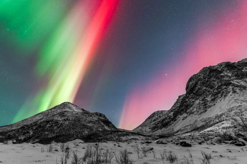 Tromsø: Aurora Quest Minibus Adventure - Key Points / Takeaways