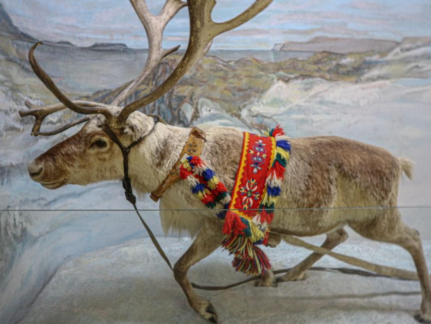 Tromsø: Discover Sami Culture Museum Expedition - Museum Highlights