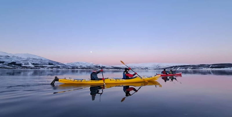 Tromsø: Easy Winter Kayaking Tour with Seal Watching - Key points / Takeaways