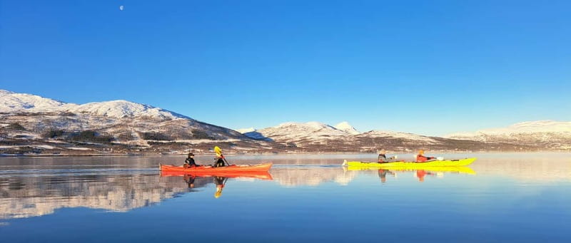 Tromsø: Easy Winter Kayaking Tour with Seal Watching - Kayaking Through Arctic Waters