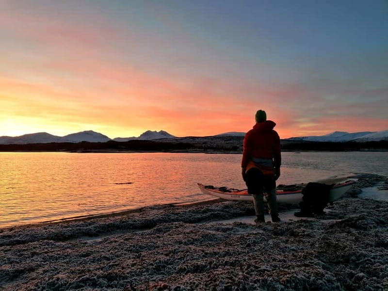 Tromsø: Easy Winter Kayaking Tour with Seal Watching - Wildlife Encounters