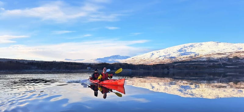 Tromsø: Easy Winter Kayaking Tour with Seal Watching - Land Break and Refreshments