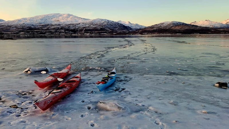 Tromsø: Easy Winter Kayaking Tour with Seal Watching - Returning and Reflection